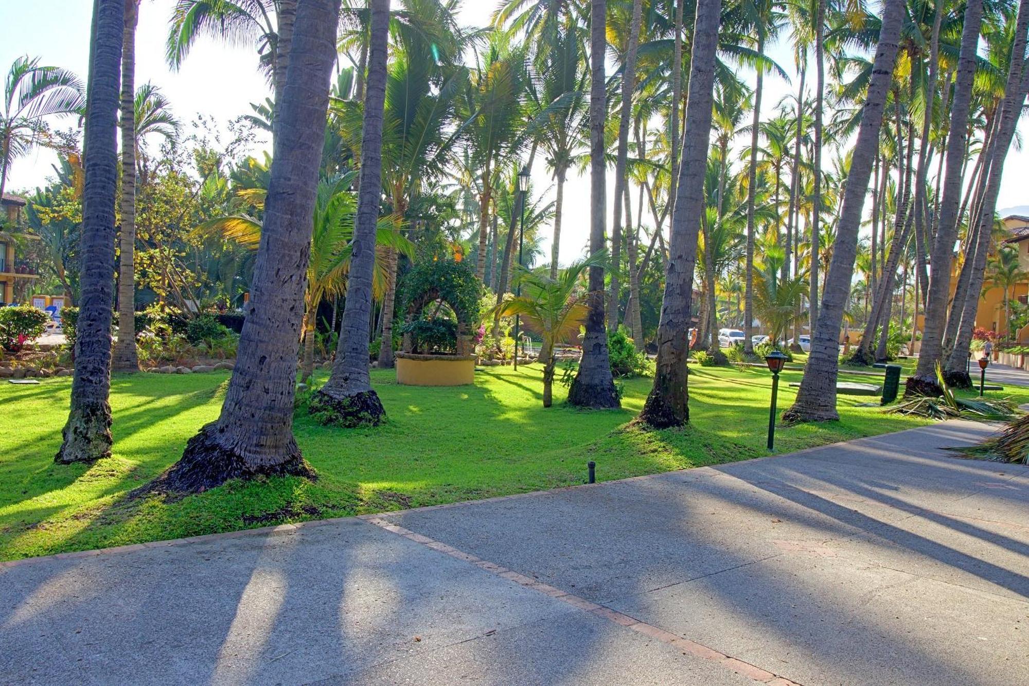 Hermoso Alojamiento En Los Tules, Frente Al Mar En Medio De Hermosos Jardines, Es Unico!!! プエルトバラータ エクステリア 写真